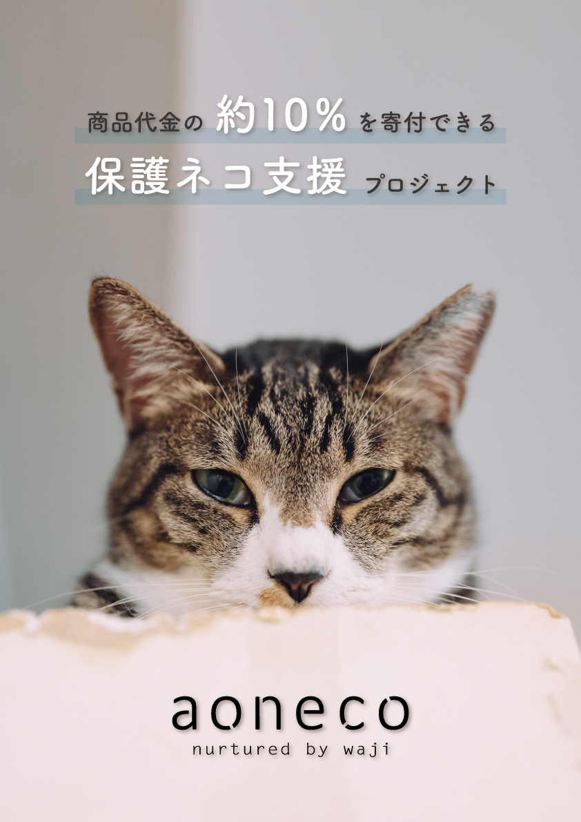 クリエイター画像